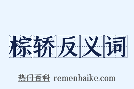 棕轿反义词是什么意思的图片